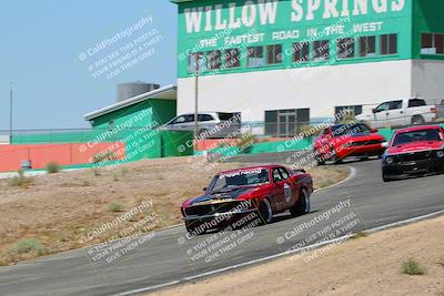 media/May-07-2022-Cobra Owners Club of America (Sat) [[e681d2ddb7]]/Blue/Session 1 (Turn 4)/